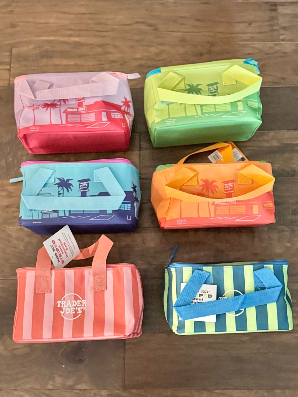 Trader Joes Summer 2026 Mini Insulated Bag Set of 6 Limited Edition